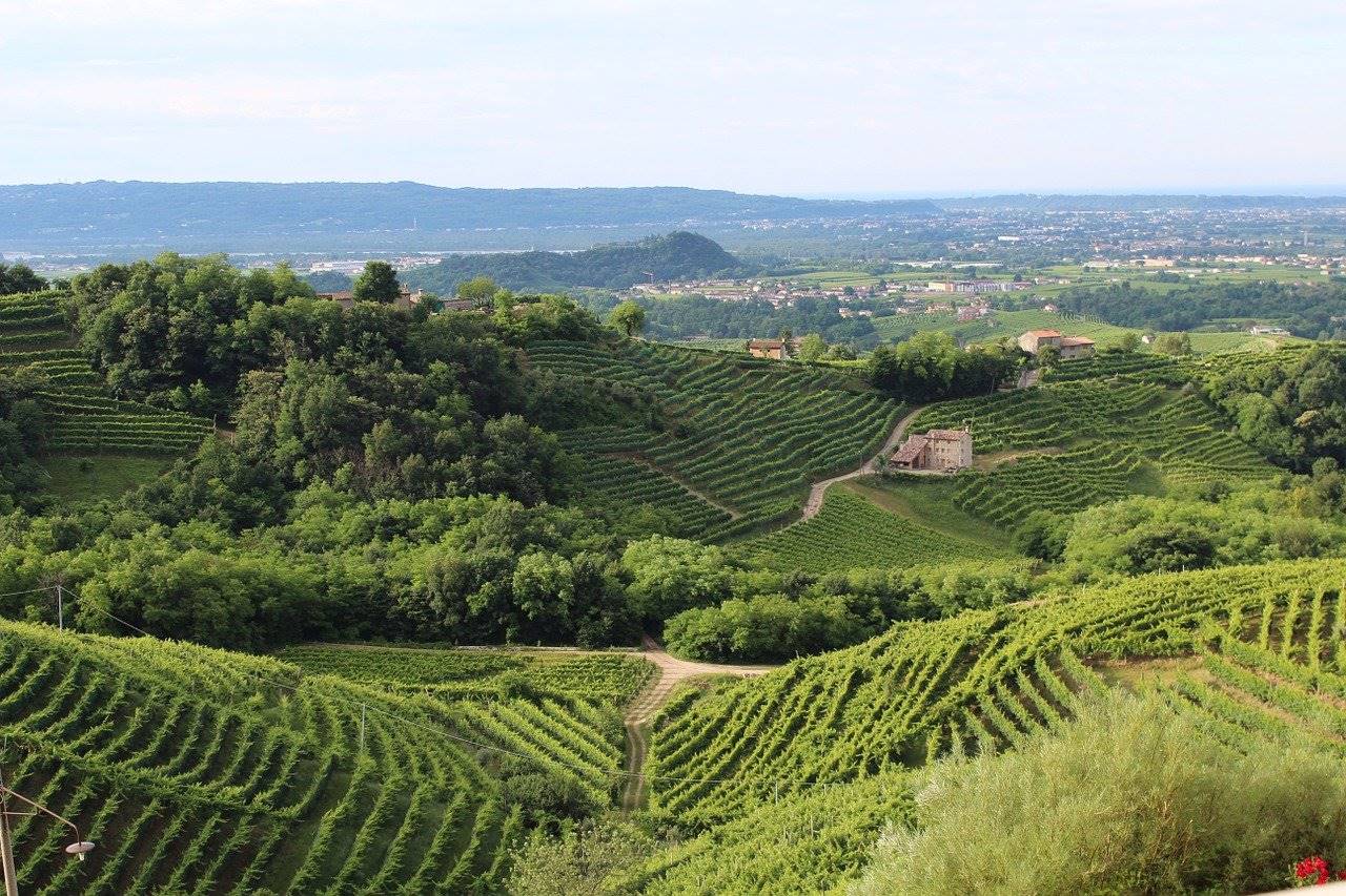 Come scegliere un vino veneto di buona qualità con produzione artigianale