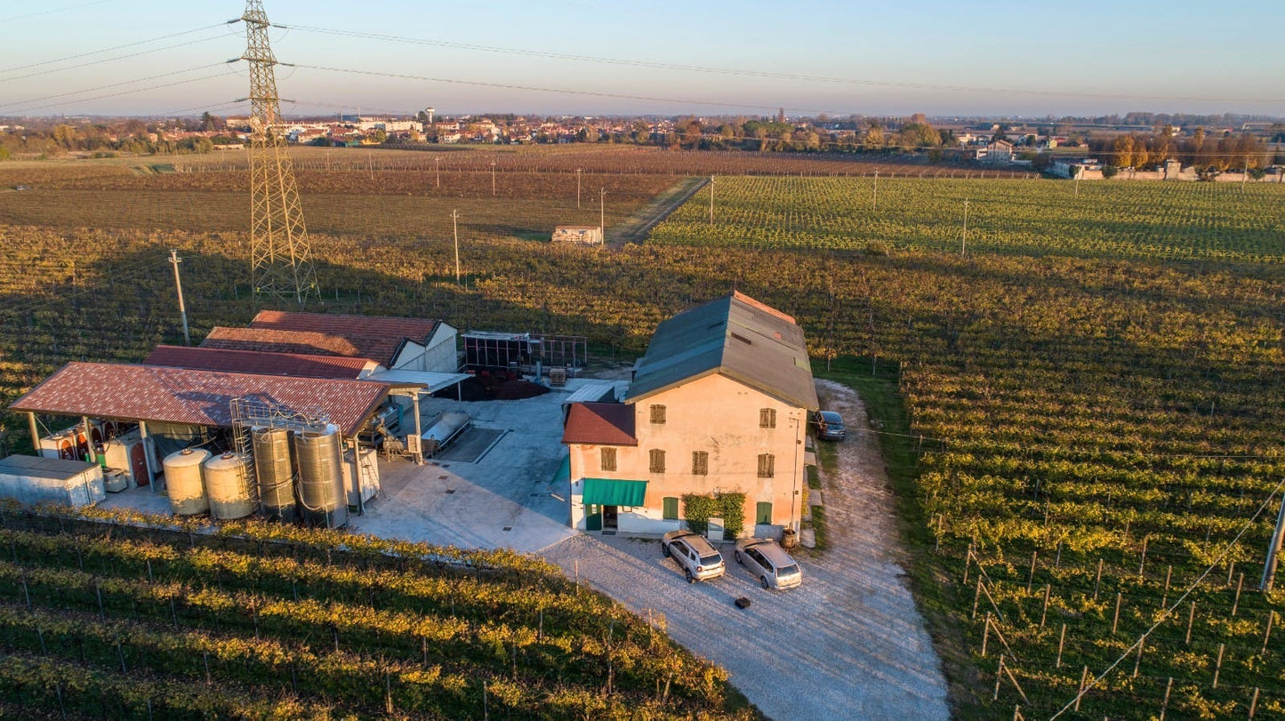 Cantina a conduzione famigliare