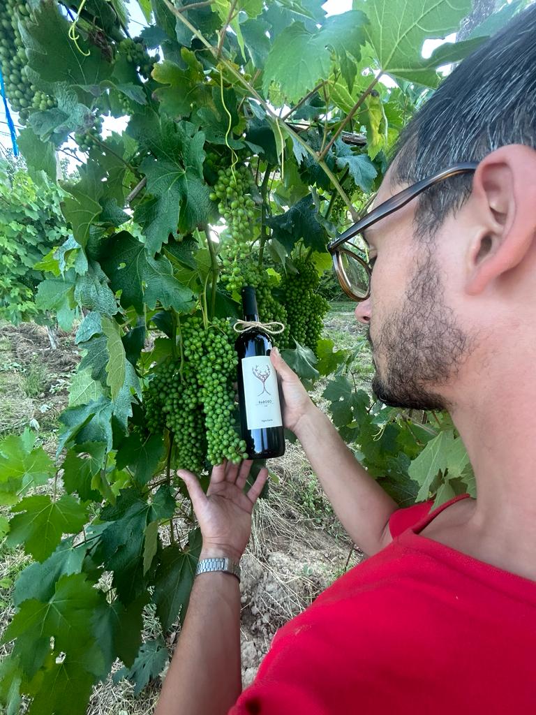 Raboso Piave 
