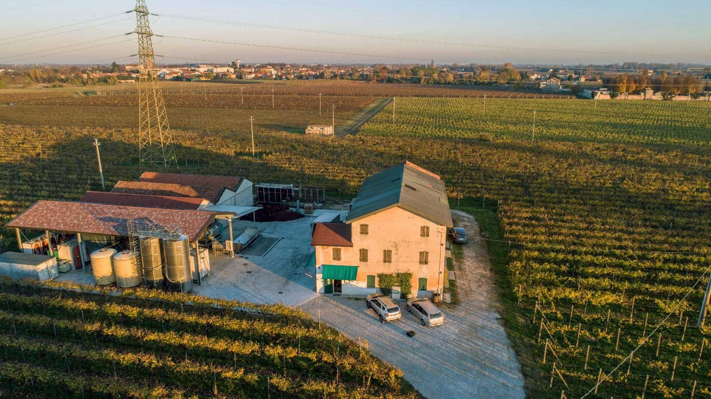 La cantina Vigne Correr