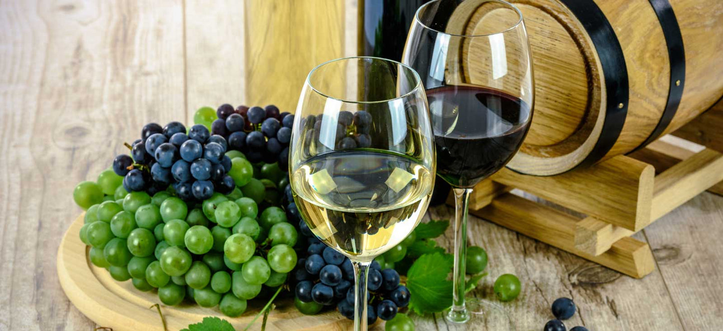 Collezione dei vini di Vigne Correr