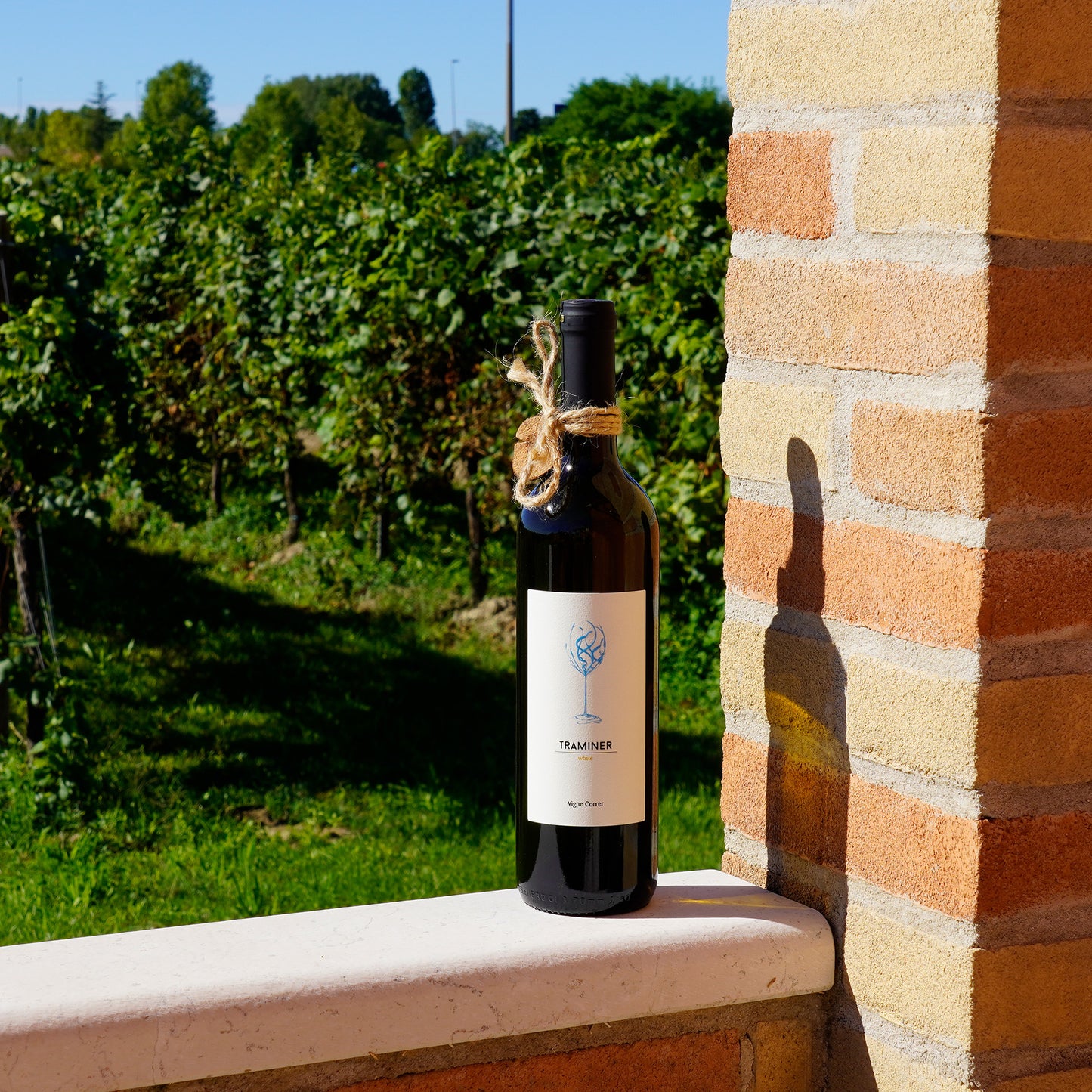 Traminer - Cantina Vigne Correr